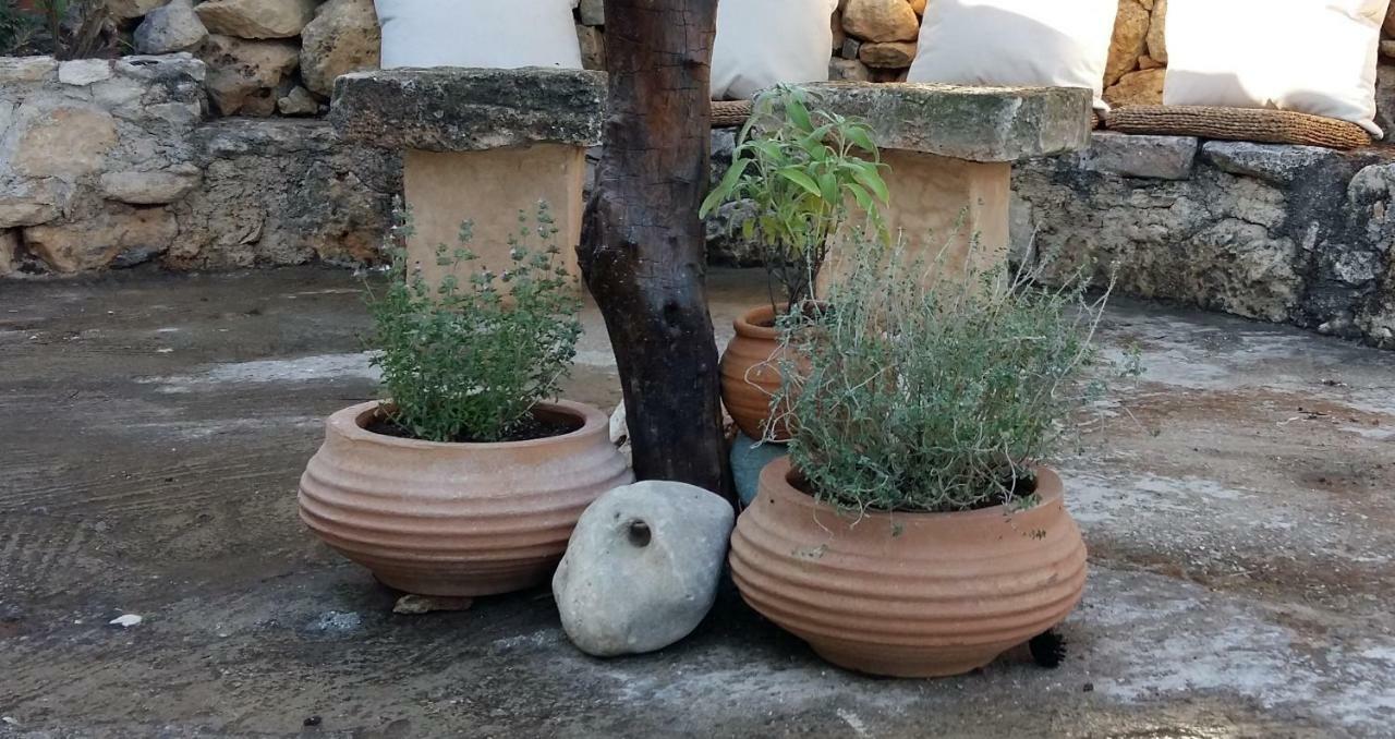 Bendeni Cottage Megala Chorafia Zewnętrze zdjęcie